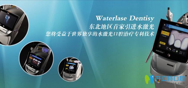 社會榮譽 社會榮譽