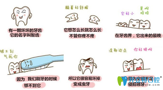 為什么會長智齒