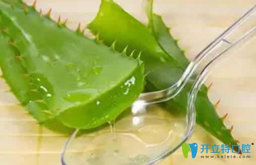 蘆薈汁治療牙疼