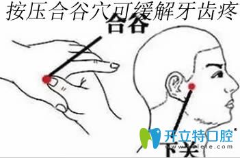 按壓合谷穴可緩解牙齒疼痛