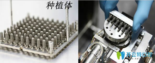 國(guó)產(chǎn)種植體和進(jìn)口種植體展示圖