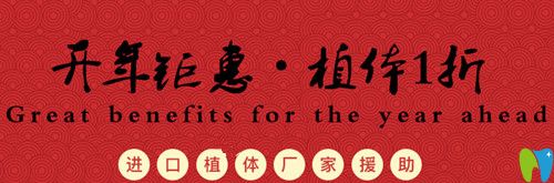 杭州美萊口腔開年鉅惠，植體1折種僅限前50名欲報(bào)從速哦！