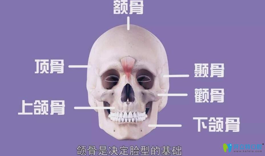 盡頭牙拔了臉型會變嗎