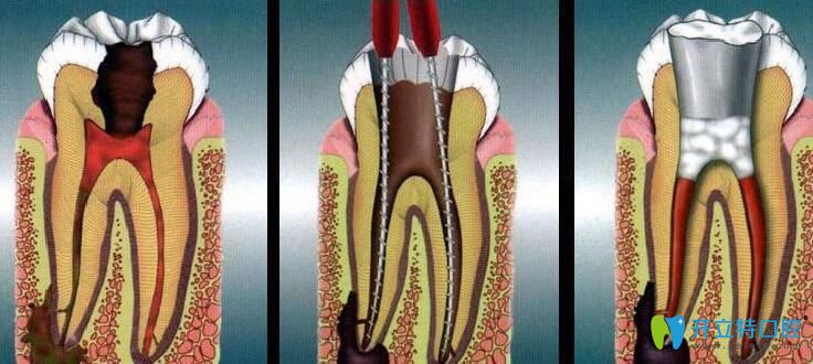 QQ截圖20190808182556.jpg QQ截圖20190808182556.jpg