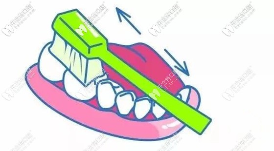 每兩顆到三顆牙前后來回刷