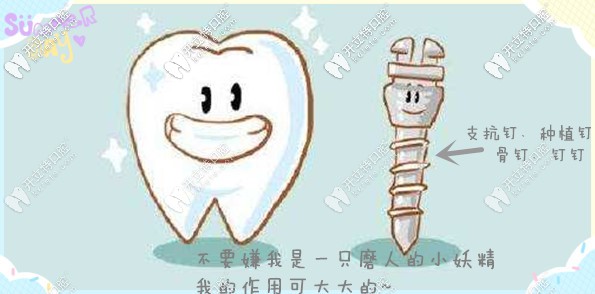 我是一只小小的支抗釘 我是一只小小的支抗釘