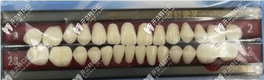 瓷牙