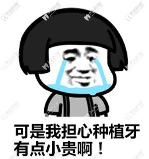 做過意大利西泰克種植牙的來說說，你們花了多少費(fèi)用？