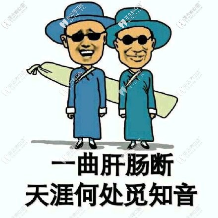 傲嬌的品牌，呆萌的價格