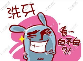 為什么要定期洗牙