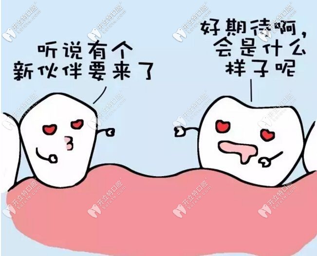 種牙520基金領(lǐng)取