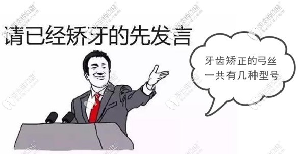 牙齒矯正的弓絲一共有幾種型號