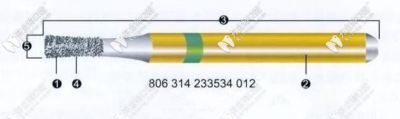 車(chē)針外觀(guān)示意圖