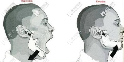 顳下頜關(guān)節(jié) 顳下頜關(guān)節(jié)