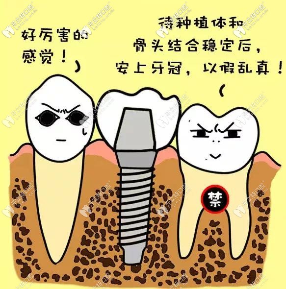 石家莊中諾口腔種植牙價(jià)格表(2974-6794元起)二級(jí)醫(yī)院|技術(shù)好