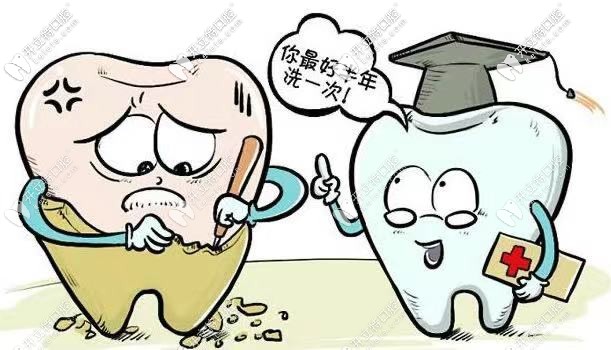 要勤刷牙 要勤刷牙