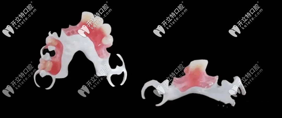 德國(guó)比丹HPP圖片