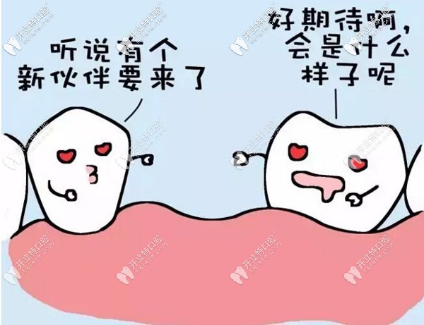 湖州種植牙的費用