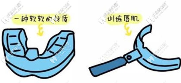 口面肌功能訓練器長這樣