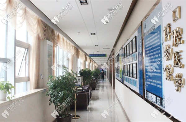 在<!--<i data=20240703-sp></i>-->齒科種八顆牙的價(jià)格