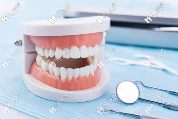 無種植仿生牙的意思解釋