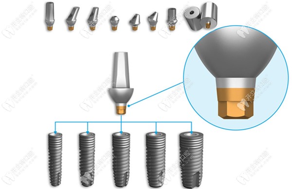 種植平臺適用于五種不同的種植口徑